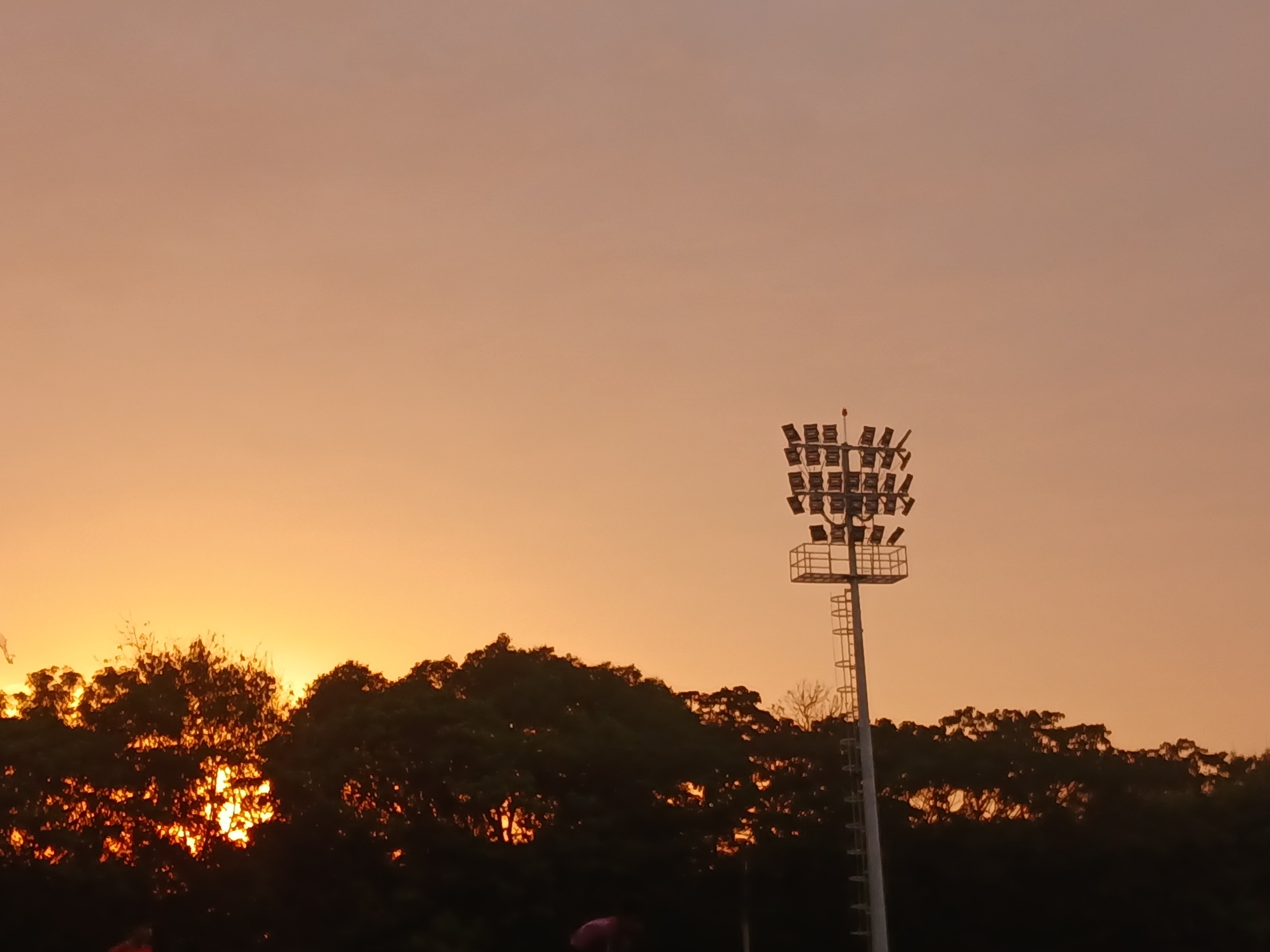 Training Ground